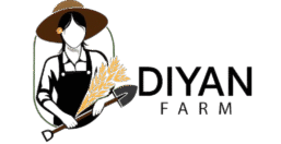 دیان فارم – طعمهای ارگانیک از مزرعه تا سفره شما